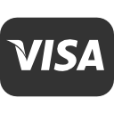 Payment Methods Visa Icon