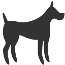 Pets Dog Icon