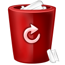 bin red Icon