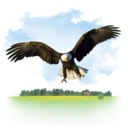 Animals Eagle Icon