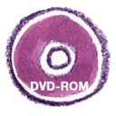 Natsu DVDROM Icon