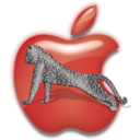 Apple Leopard Icon