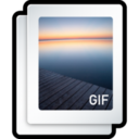 Picture GIF Icon