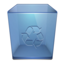 Recycle Bin e Icon