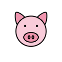 Animal icon - color - pig Icon