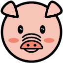 pig Icon