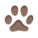 Cat Footprint Icon
