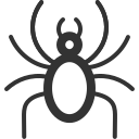icon_Spider Icon