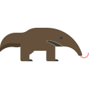 anteater Icon