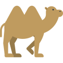 camel Icon