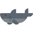 shark Icon