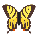 butterfly Icon