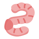 earthworm Icon