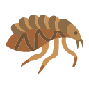 flea Icon