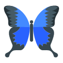 Pounced on the moth Icon