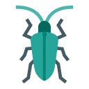 Tiger beetle Icon