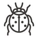 Pest ladybug Icon
