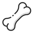 Molar bone Icon