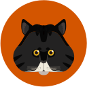 Pitao black cat Icon