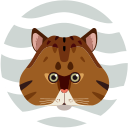Pitao leopard cat Icon