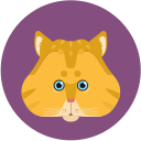 Pitao orange cat Icon