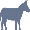 donkey Icon