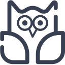 19- Owl Icon