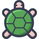 22- tortoise Icon