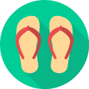 Flip flops Icon