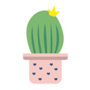 Potted cactus Icon
