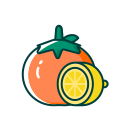 fruits Icon