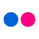 flickr Icon