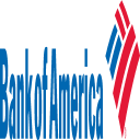 Bank of America Icon