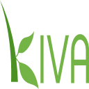 Kiva Icon