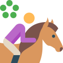 Equestrian 2 Icon
