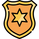 011-shield Icon