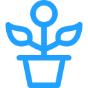 growth Icon
