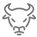 bull market Icon