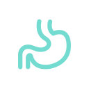 gastric cancer Icon