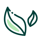 Green leaf energy saving Icon