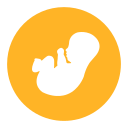S_ Fetal growth curve Icon