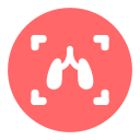 S_ Lung immune health test Icon