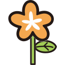 Flower daisy Icon