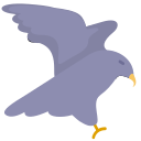 Eagle, cartoon animal Icon