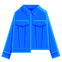 06 denim jacket Icon
