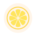 Dried lemon Icon