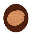 Leatheroid walnut Icon