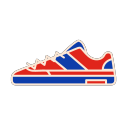 Special step - Surface_ skate shoes Icon