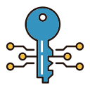 electronic key Icon