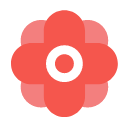 Flower gift Icon